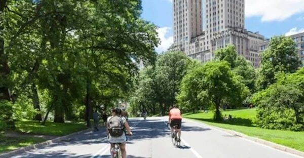 NYC: Central Park Bike Tour & 30+ Top Sights Walking Tour - Recommendations