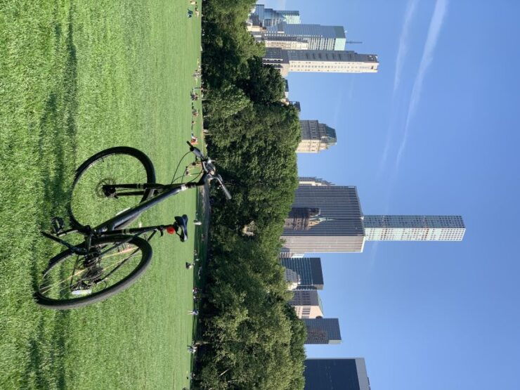 NYC: Central Park Bike Tour - Professional Guides and Flexible Itineraries