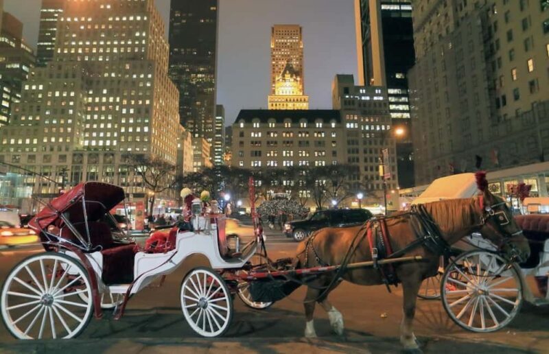 NYC : Central Park by Night: Horse-Drawn Carriage Ride - What Makes This Experience Special?