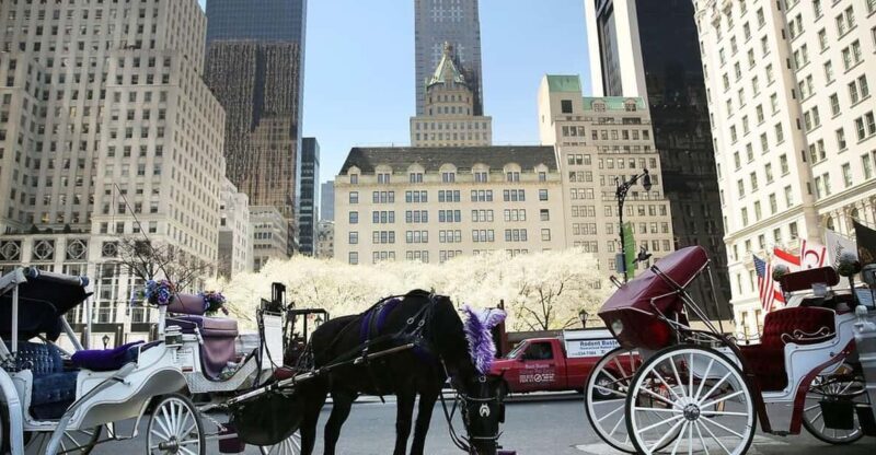 NYC: Central Park Christmas Lights Horse-Drawn Carriage Ride - Good To Know