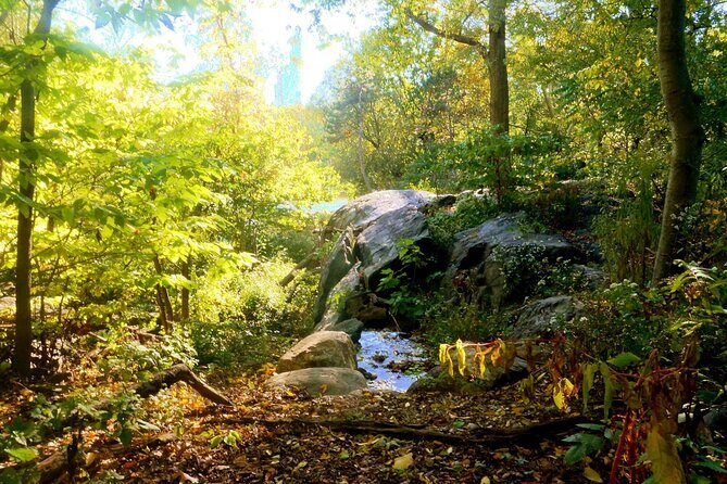NYC Central Park Essential Guided Walking Tour - Good To Know