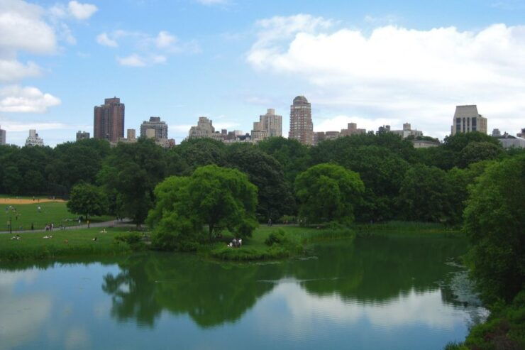 NYC: Central Park Guided Adventure Tour - Tour Experience