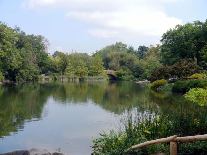 NYC: Central Park Guided Adventure Tour - Conservation Efforts