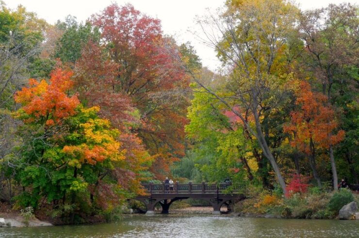 NYC: Central Park Hidden Gems Walking Tour - Experience Highlights