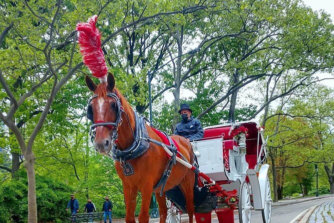NYC Central Park Horse and Carriage Ride: Long Ride 45 Min - Overview of the NYC Central Park Horse and Carriage Ride