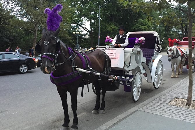 NYC Central Park Horse and Carriage Ride: Long Ride 45 Min - Meeting and Pickup Information