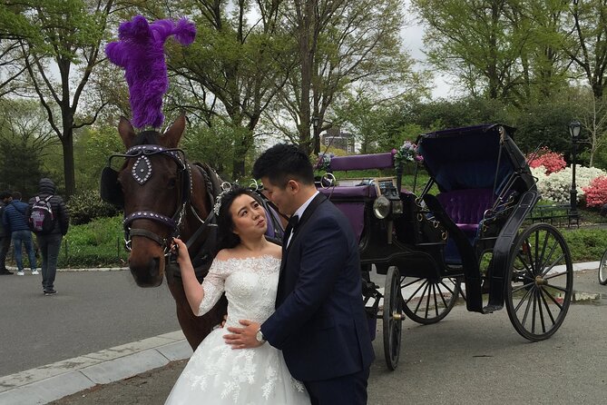 NYC Central Park Horse and Carriage Ride: Long Ride 45 Min - Expectations and Accessibility