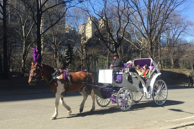 NYC Central Park Horse and Carriage Ride: Long Ride 45 Min - Additional Information