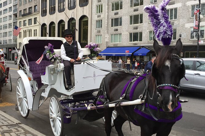 NYC Central Park Horse and Carriage Ride: Long Ride 45 Min - Common Questions