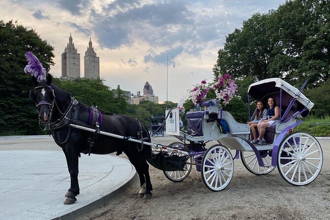 NYC Central Park Horse Carriage Rides - Meeting Point and End Point Details