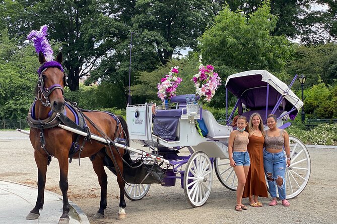 NYC Central Park Horse Carriage Rides - What to Expect During the Carriage Ride