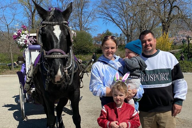 NYC Central Park Horse Carriage Rides - The Sum Up