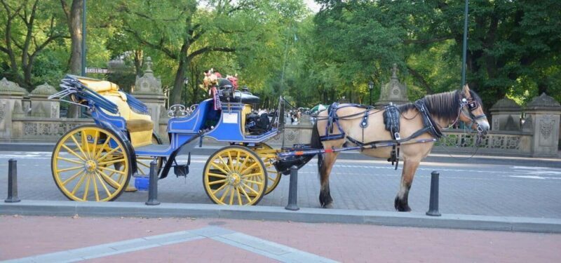 NYC: Central Park Horse-Drawn Carriage Ride - Good To Know  