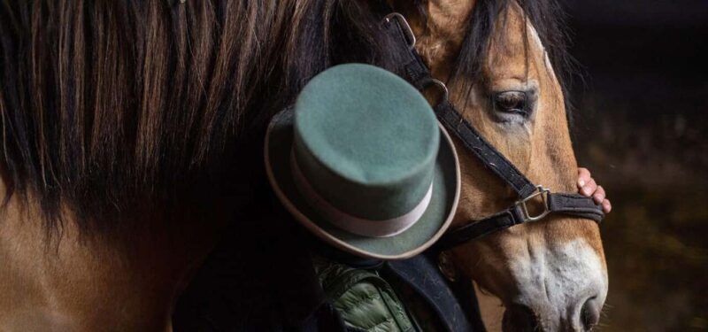 NYC: Central Park Horse-Drawn Carriage Ride - An In-Depth Look at the Carriage Ride Experience