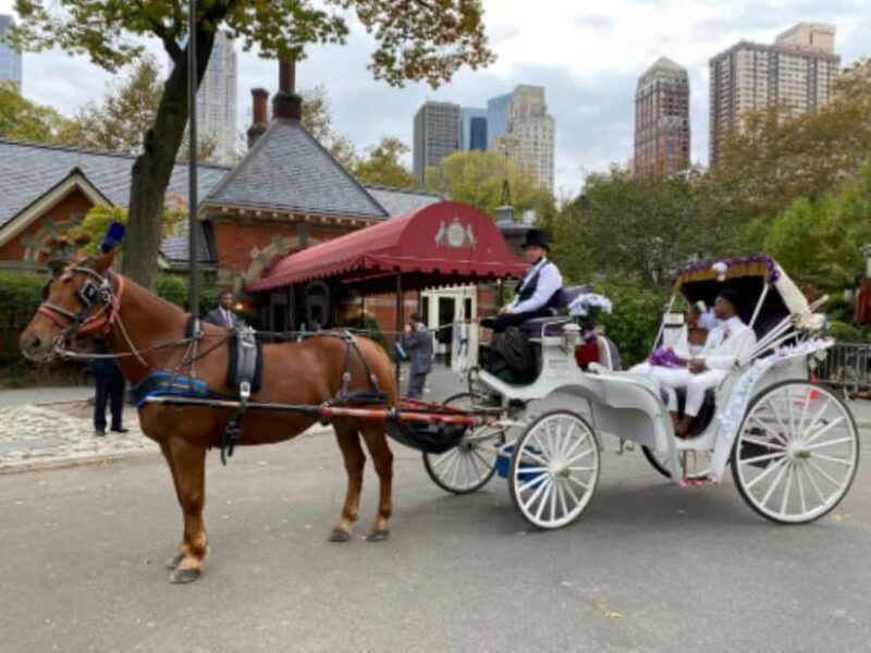 NYC: Central Park Horse-Drawn Carriage Ride - FAQ