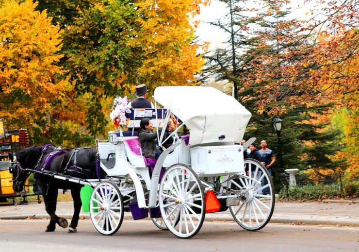 NYC: Central Park Horse-Drawn Carriage Ride (up to 4 Adults) - Free Cancellation and Flexible Payment Options