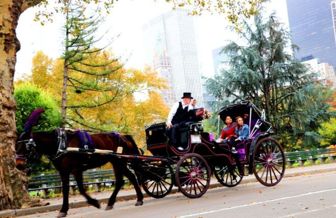 NYC: Central Park Horse-Drawn Carriage Ride (up to 4 Adults) - Smoking and Weather Policy