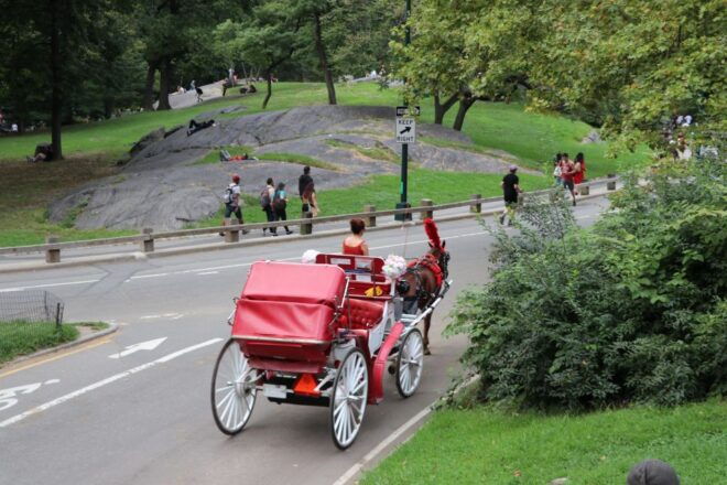 NYC: Central Park Horse-Drawn Carriage Ride (up to 4 Adults) - Capacity and Starting Location