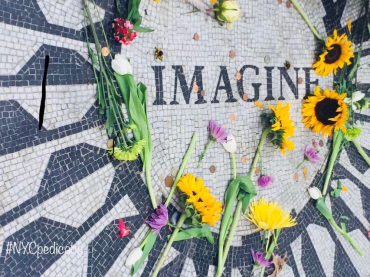 NYC: Central Park Pedicab Tour - Highlights - Tour Overview