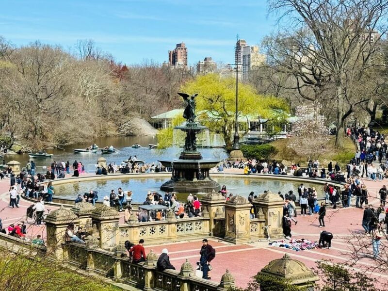 NYC: Central Park Pedicab Tour with Photo Stops - Who Will Love This Tour?