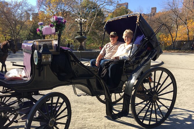 NYC Central Park VIP Horse and Carriage Ride - Pricing and Booking Details