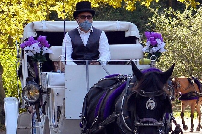 NYC Central Park VIP Horse and Carriage Ride - Tour Overview