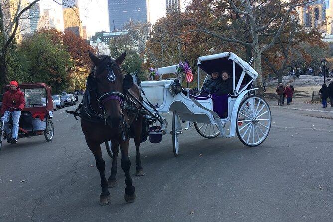 NYC Central Park VIP Horse and Carriage Ride - Cancellation and Refund Policy