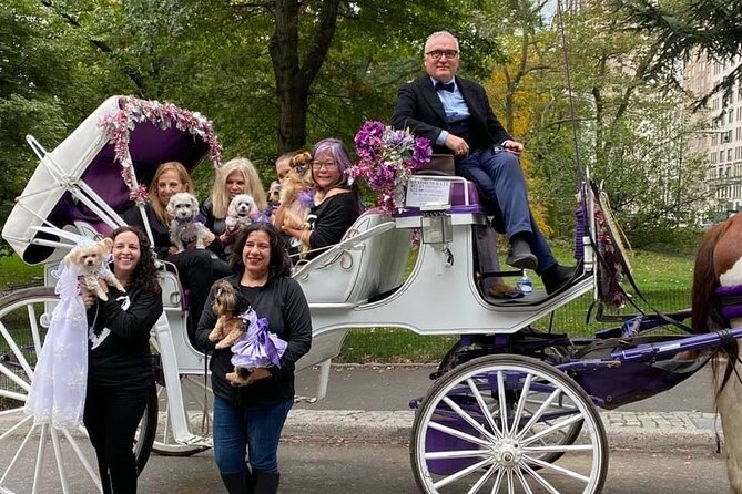 NYC Central Park VIP Horse and Carriage Ride - Directions to the Meeting Point