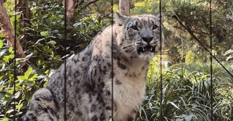 NYC: Central Park Zoo & Central Park Guided Walking Tour - Discovering Central Park: A Guided Walking Tour