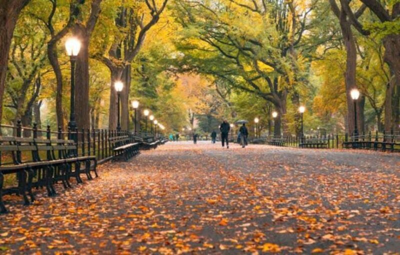 NYC: Central Park Zoo & Central Park Guided Walking Tour - Seamless Entry into the Central Park Zoo