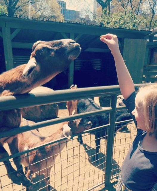 NYC: Central Park Zoo & Central Park Guided Walking Tour - What to Expect at the Zoo