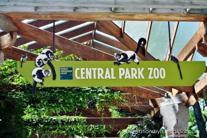NYC: Central Park Zoo Entry Ticket & Manhattan Walking Tour - Inclusions and Logistics