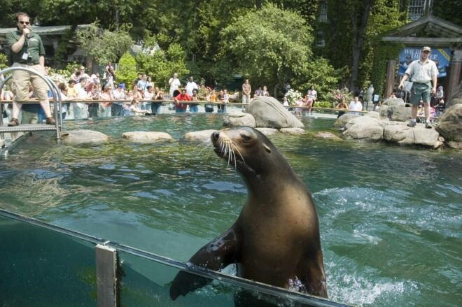 NYC: Central Park Zoo Entry Ticket & Manhattan Walking Tour - Important Information