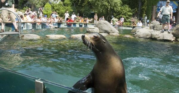 NYC: Central Park Zoo Entry Ticket & Manhattan Walking Tour - Customer Feedback