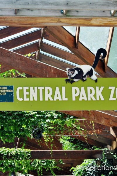 NYC: Central Park Zoo Entry Ticket & Manhattan Walking Tour - Booking and Reservations
