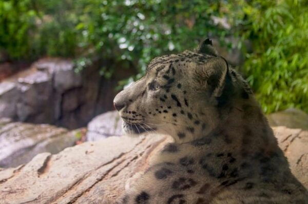 NYC: Central Park Zoo Entry Ticket & Manhattan Walking Tour - Frequently Asked Questions