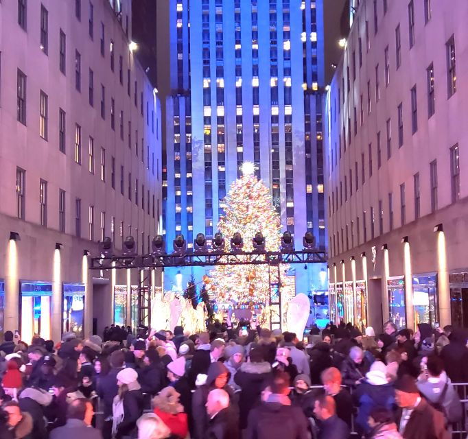 NYC: Christmas Lights Horse Carriage Ride - Itinerary and Landmarks