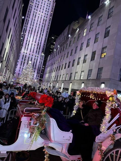 NYC: Christmas Lights Horse Carriage Ride - Tour Experience and Features