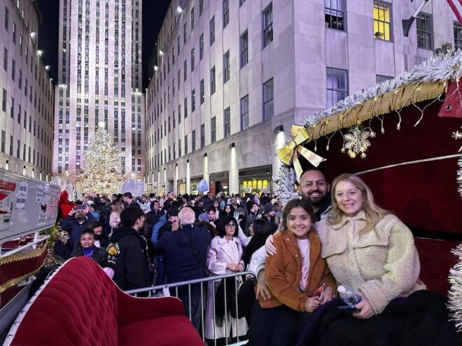 NYC: Christmas Lights Horse Carriage Ride - Meeting Point and Logistics