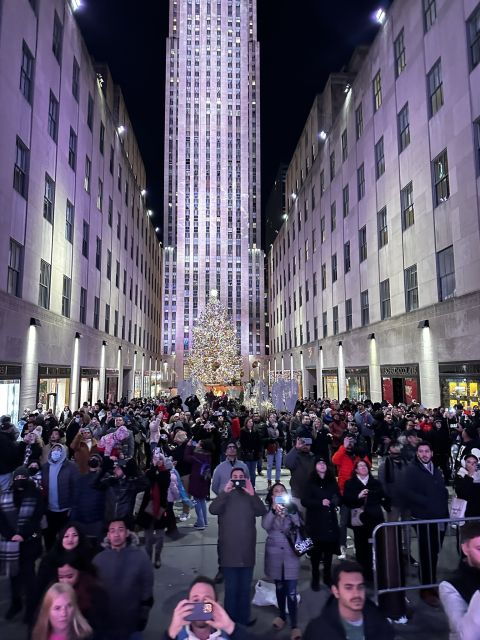 NYC: Christmas Lights Horse Carriage Ride - Weather and Accessibility
