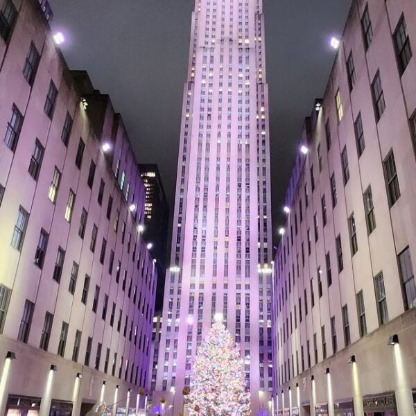 NYC: Christmas Lights Horse Carriage Ride - Customer Reviews and Ratings