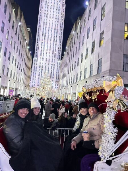 NYC: Christmas Lights Horse Carriage Ride - How to Book and Reserve