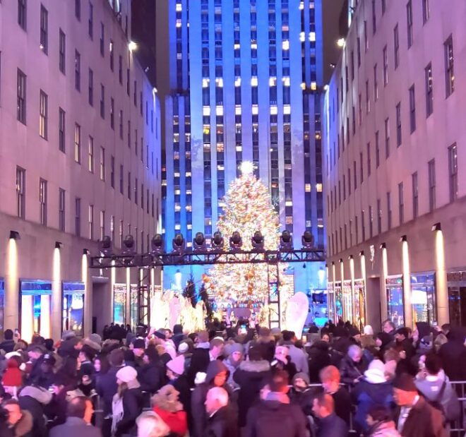 NYC: Christmas Lights Horse Carriage Ride - Tour Description