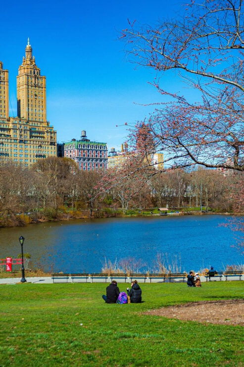 NYC: Complete Manhattan 5h Walking Tour & Cycle Central Park - Good To Know