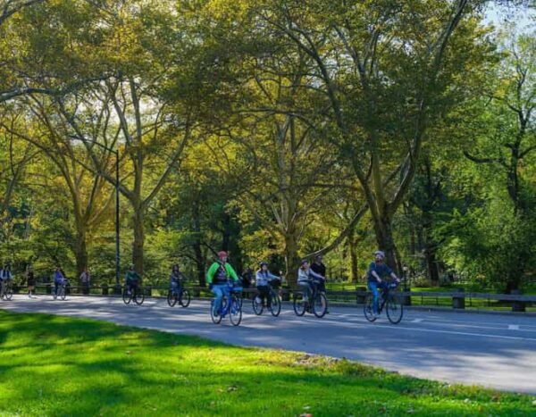 NYC: Complete Manhattan 5h Walking Tour & Cycle Central Park - Meeting Point