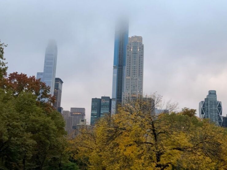 NYC Empire State Horse Carriage Rides (Central Park Tour) - Tour Pricing and Duration