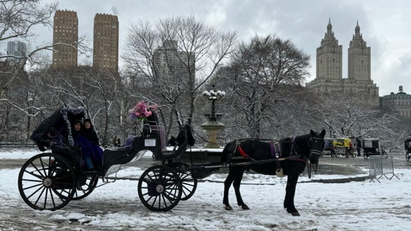 NYC: Empire State Horses Carriage Ride in Central Park - Good To Know