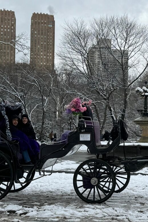 NYC: Empire State Horses Carriage Ride in Central Park - Reviewing the Value and Cost