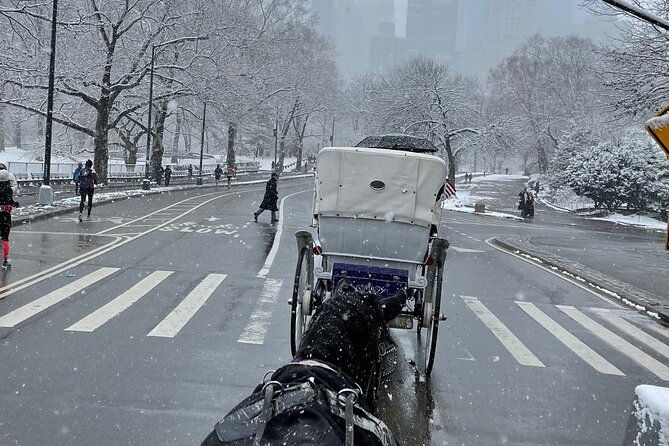 NYC Empire State Horses Carriage Ride in Central Park(55 Min) - A Deep Dive Into the Central Park Carriage Experience