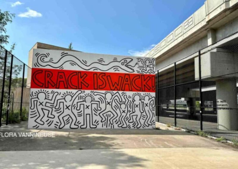 NYC | French guided tour Hip-Hop in East Harlem & Bronx - Authentic Insights from Past Participants